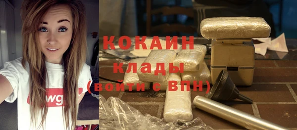 спайс Кулебаки