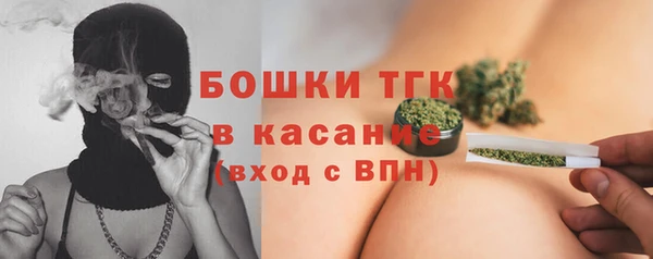 спайс Кулебаки