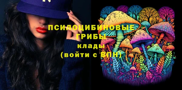 стафф Куйбышев