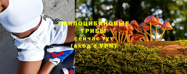 стафф Куйбышев