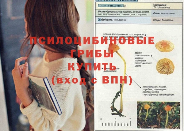 спайс Кулебаки