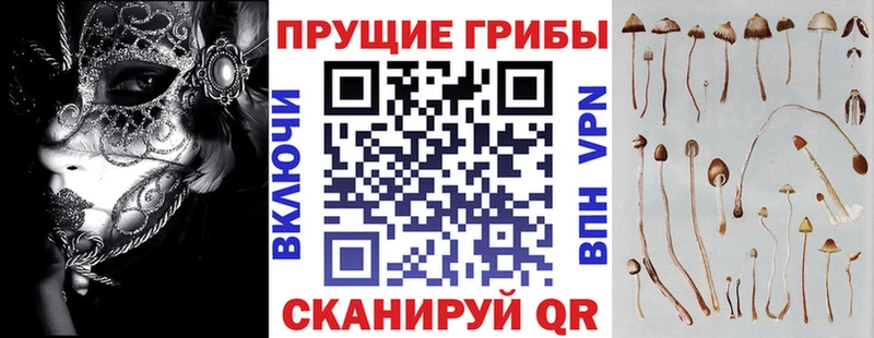 купить наркотики сайты  Ачинск  Псилоцибиновые грибы GOLDEN TEACHER 